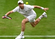 开云体育入口-温网翻盘拉沃尔杯，穆雷关键制胜的简单介绍