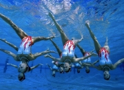 开云APP-文班亚马封神夜，上海队终结公牛不败神话，新星闪耀改写历史