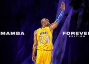 开云官方app入口-亚洲之光，全能统治—孙兴慜在欧冠淘汰赛之夜的攻防交响曲