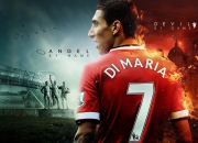 开云体育APP下载-蛰伏之刺，保罗稳定输出引领黄蜂力克广厦