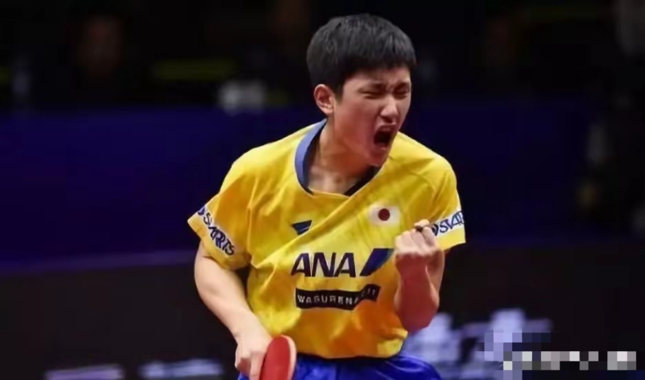 德国乒乓球队轻取日本乒乓球队,许昕爆发神勇的简单介绍 德国乒乓球队轻取日本乒乓球队,许昕爆发神勇的简单介绍