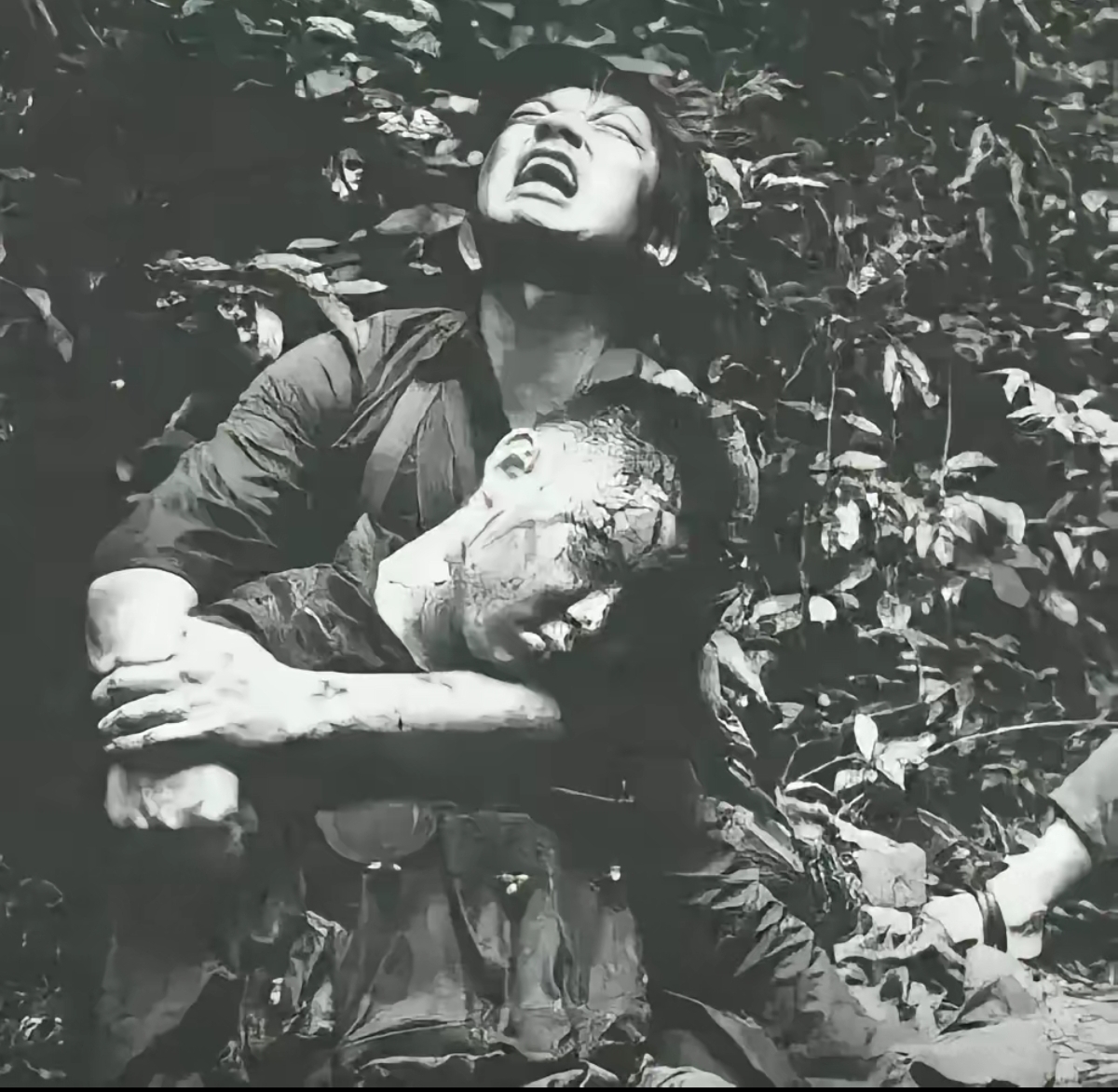 关于铁血拼杀狂交织,双方艰难克制的信息 关于铁血拼杀狂交织,双方艰难克制的信息