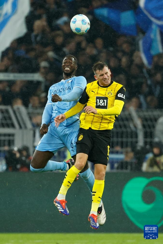 关于多特蒙德在近期德国足球联赛中获胜的信息 关于多特蒙德在近期德国足球联赛中获胜的信息