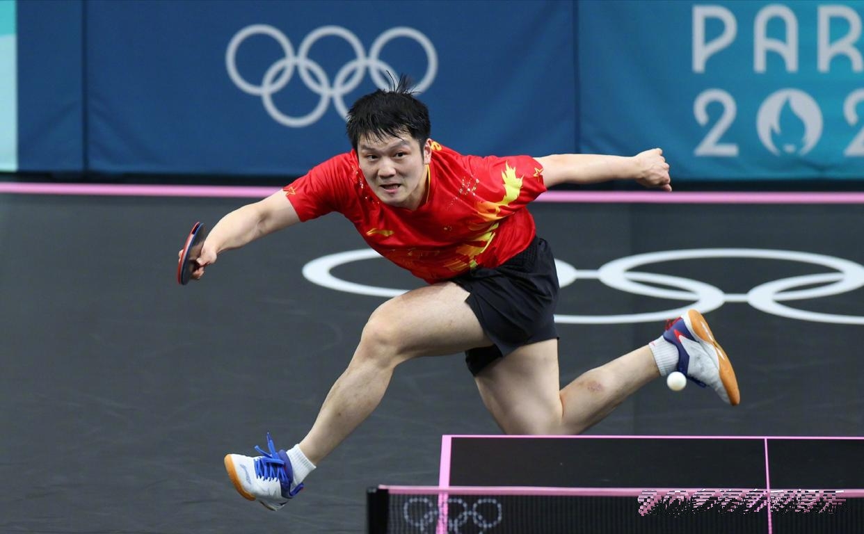 日本队险胜奥地利队,樊振东惊艳四座的简单介绍 日本队险胜奥地利队,樊振东惊艳四座的简单介绍