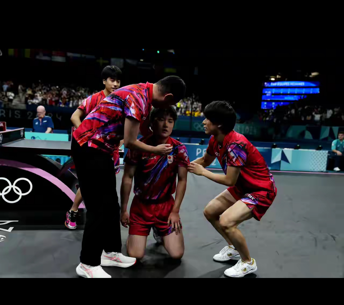 包含波兰队完胜英格兰队，张本智和带队取胜的词条