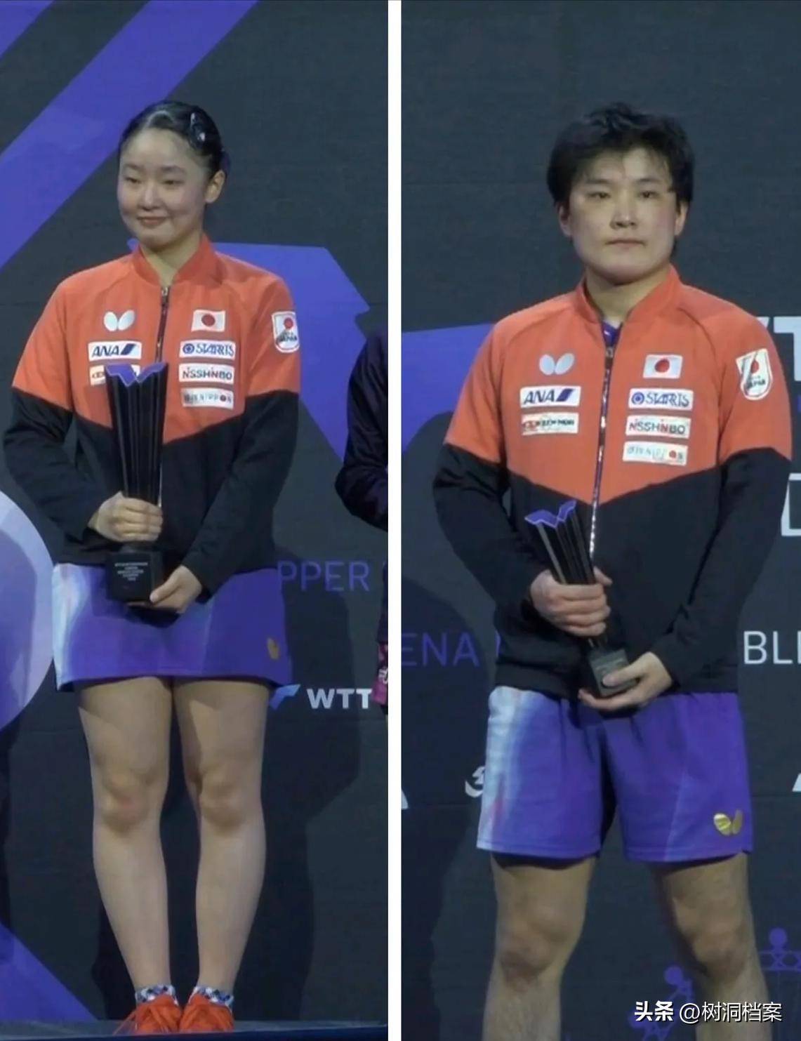 包含波兰队完胜英格兰队，张本智和带队取胜的词条