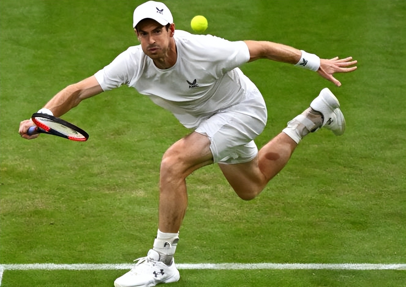 温网翻盘拉沃尔杯，穆雷关键制胜的简单介绍